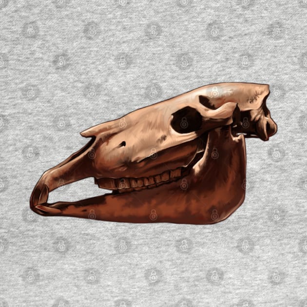 Ice Age Wild Horse Skull by Pip Tacla